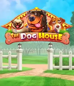 From Pragmatic Play comes The Dog House Slot, offering an adorable adventure into the world of lovable dogs. Engage in features such as sticky wilds, designed for providing joyful moments. A must-try for pet lovers a cheerful setting alongside lucrative rewards.